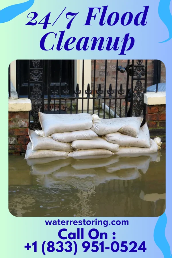 24/7 Flood Cleanup in Chamois, MO
