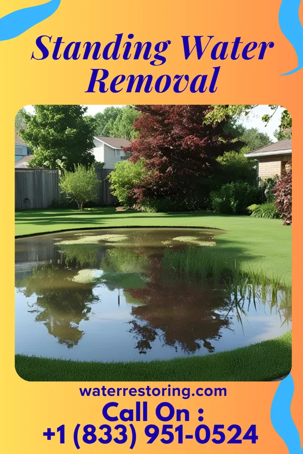 Standing Water Removal in Chamois, MO